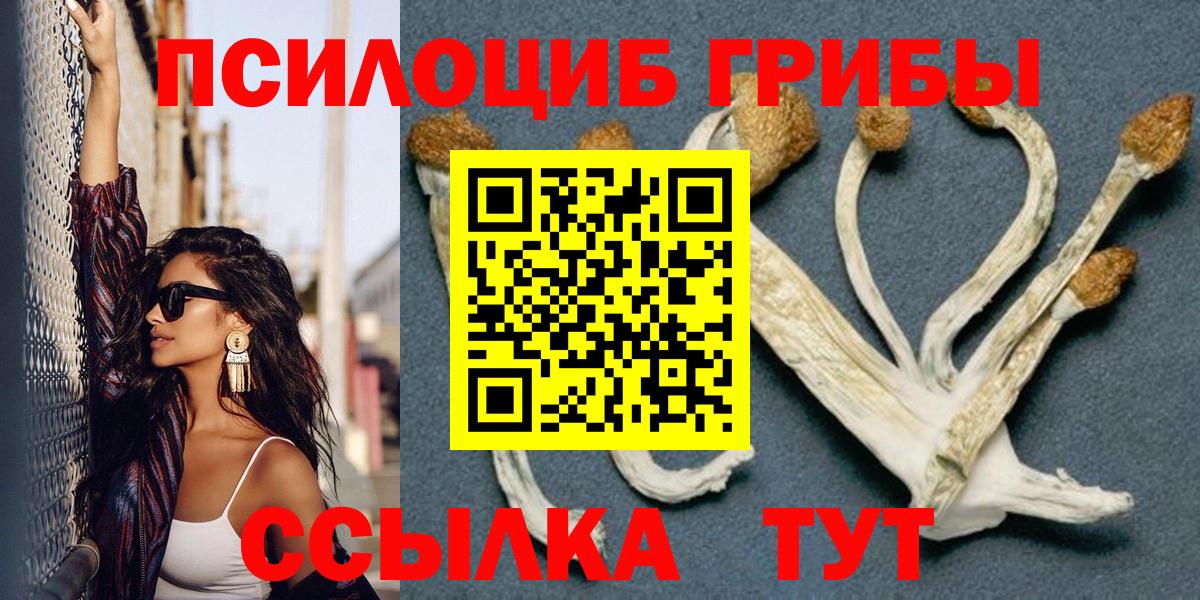 Псилоцибиновые грибы MAGIC MUSHROOMS  Новочебоксарск 