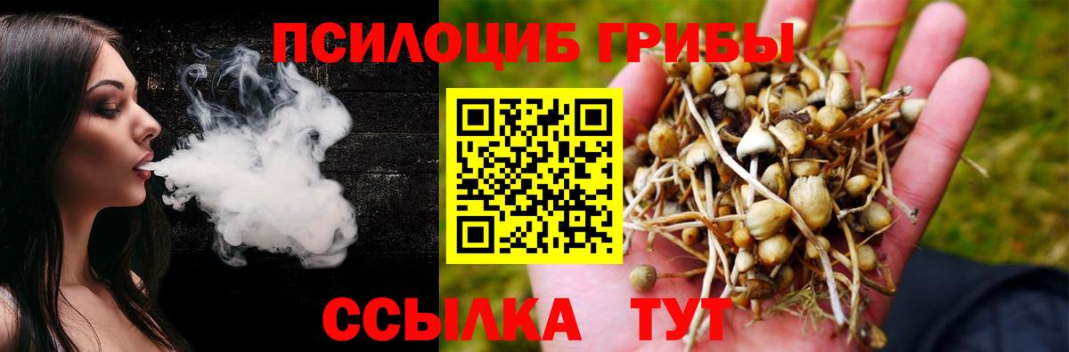 Псилоцибиновые грибы Psilocybine cubensis Новочебоксарск