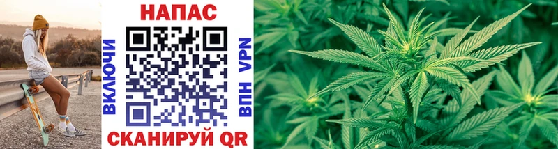 сайты даркнета наркотические препараты  Новочебоксарск  Каннабис OG Kush  OMG как войти 